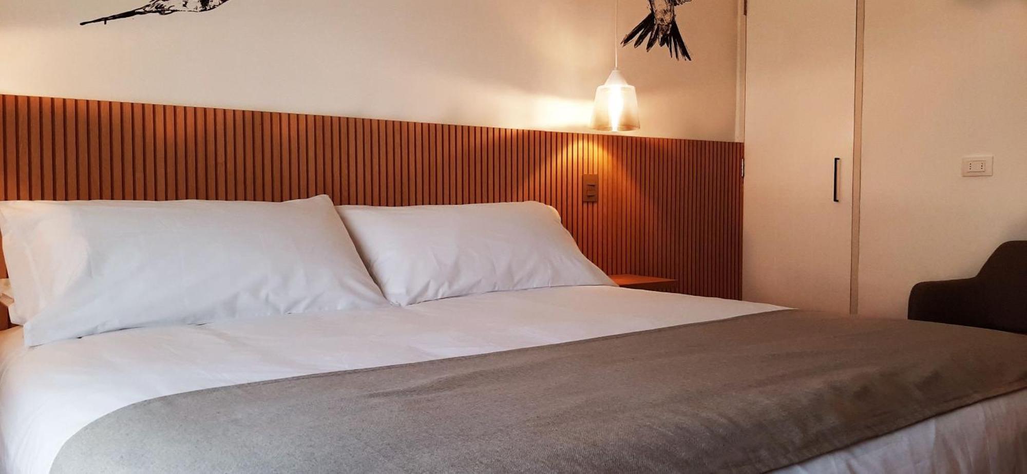 Living Vaisse Apartment Santiago Luaran gambar